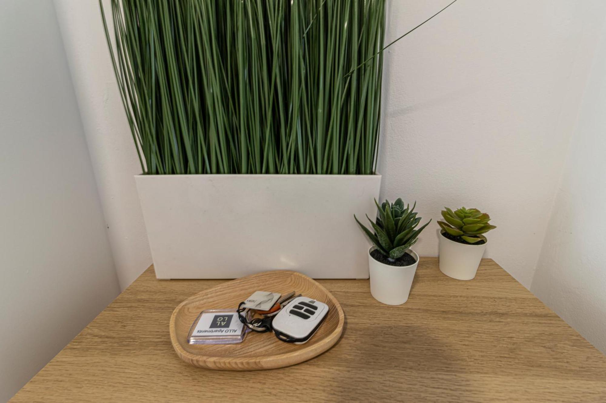 Allo Apartments Arroyo Atico Parking 1 Habitacion ヘレス エクステリア 写真